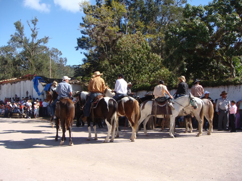 Horses by robertohonduras85