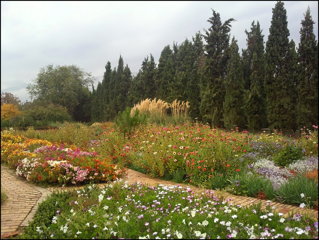 Iran National Botanical Garden by Bahar e