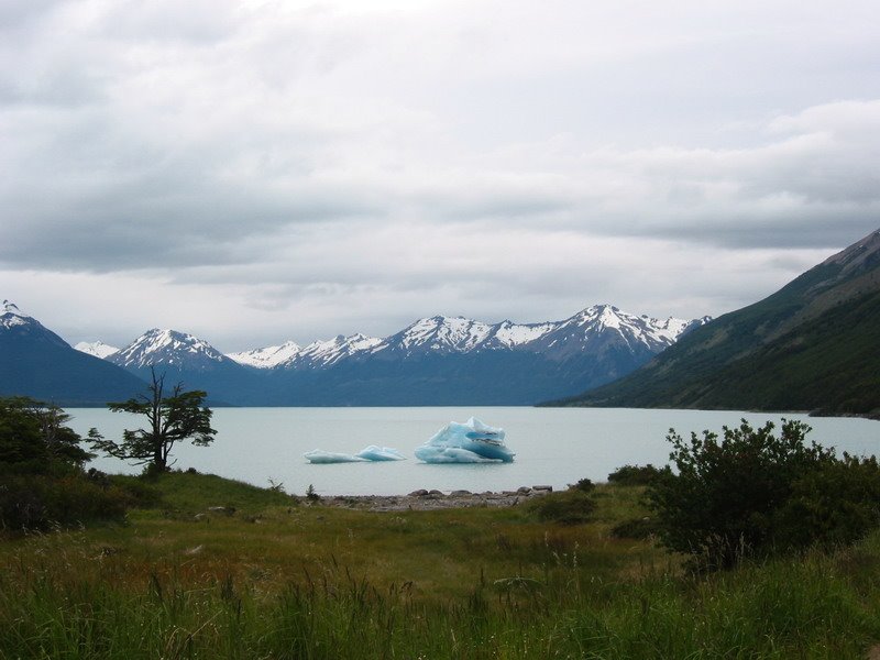 Cerca de Perito Moreno by magoncan