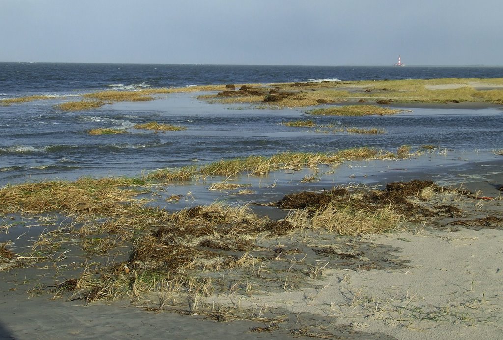 Blick zum Westerhever Leuchtturm by Gerwin Rother