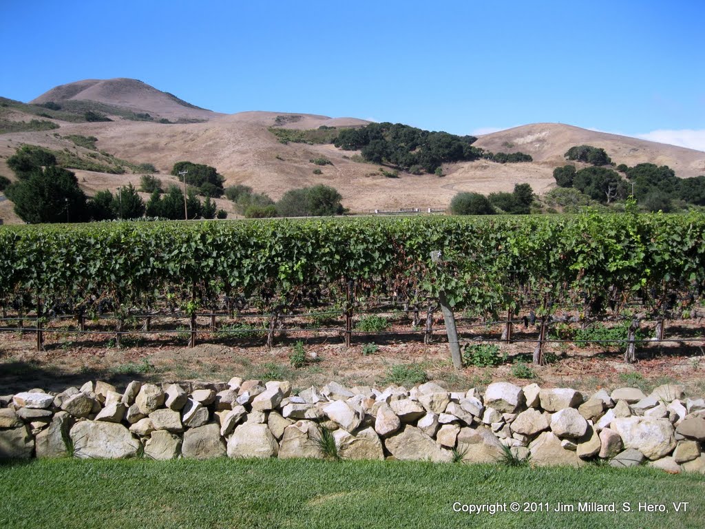 Lafond Winery and Vineyards, Buellton, CA by Jim Millard