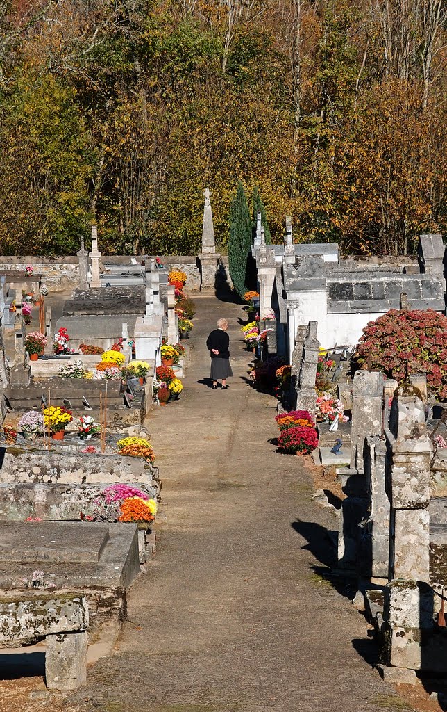 Inspecting the flowers for All Saints Day - Oct 2011 by Mike Stuckey