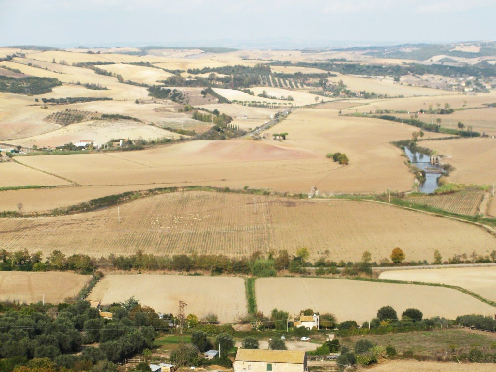 Veduta dall'Alberata Dante Alighieri, in fondo al corso principale by masterclick