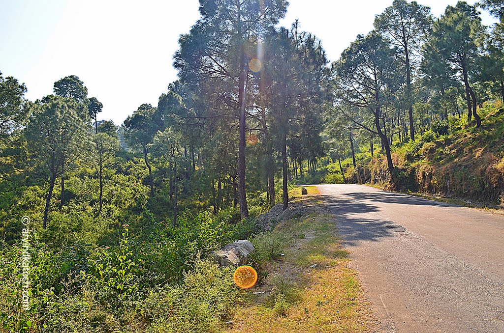 State Highway to Hamirpur by arvindkatoch