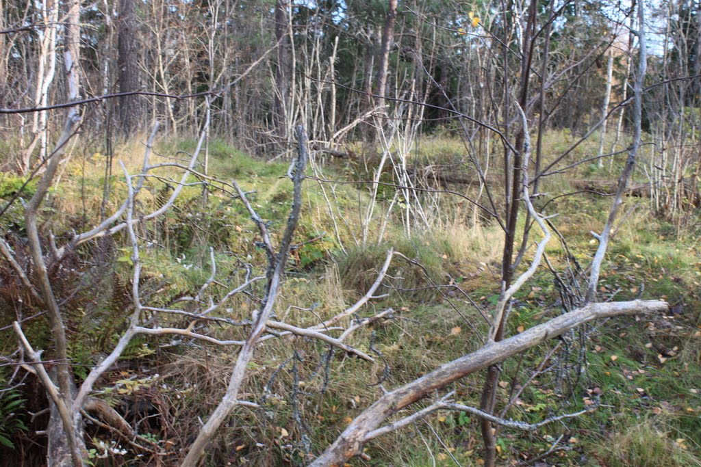 Ensimmäisen maailmansodan aikainen puolustusasema by Jorma Hokkanen