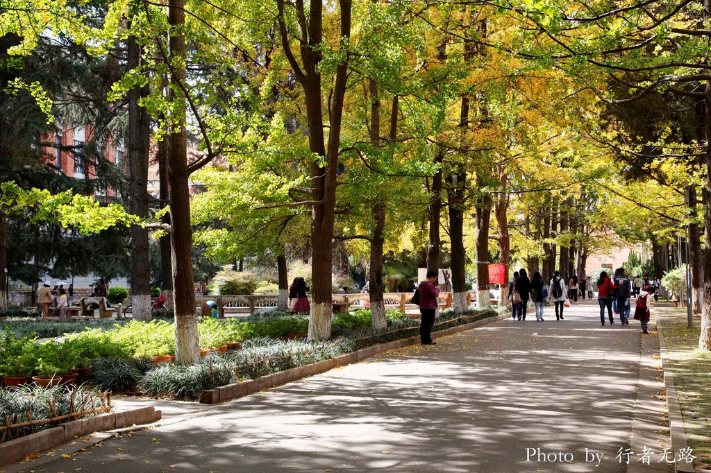 秋日美景（Beautiful Autumn） ， Kunming ， Yunnan ， China by 行者无路