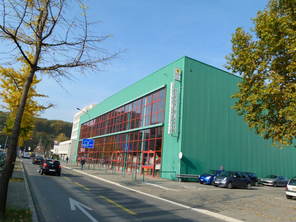 Centre sportif de la Queue d'Arve by Magda GHALI