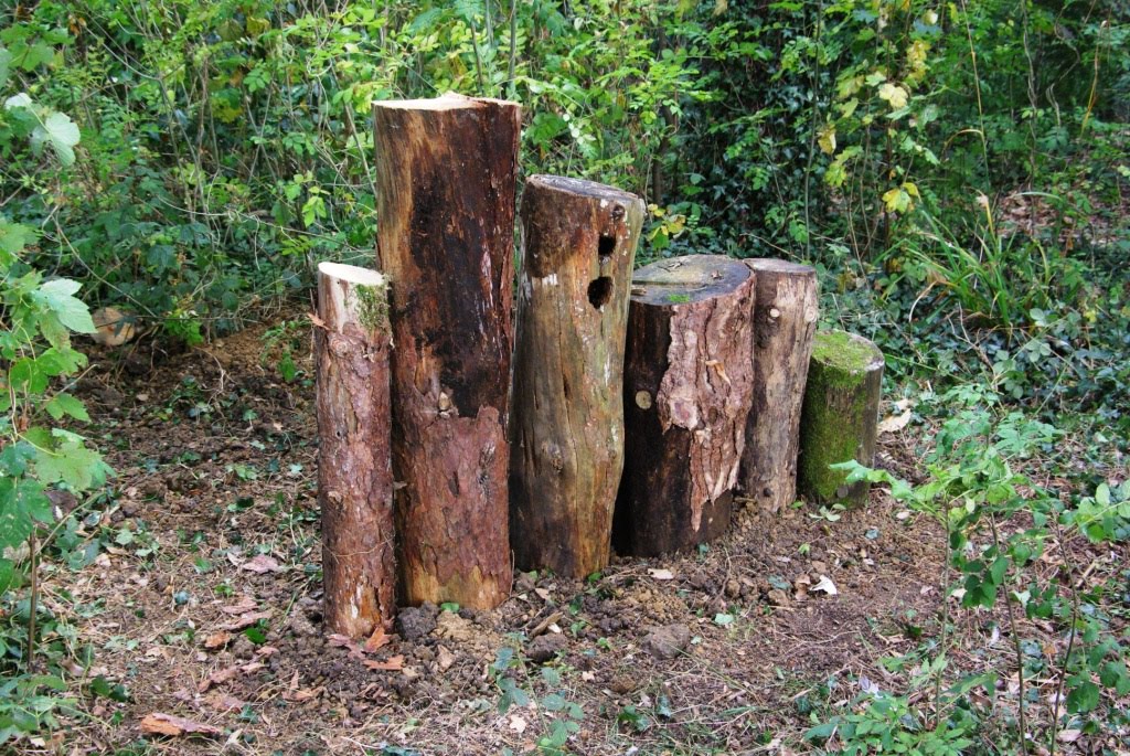 Log wall (invertebrate habitat) built by WNDC volunteers, October 2011 by vicsmith.foep