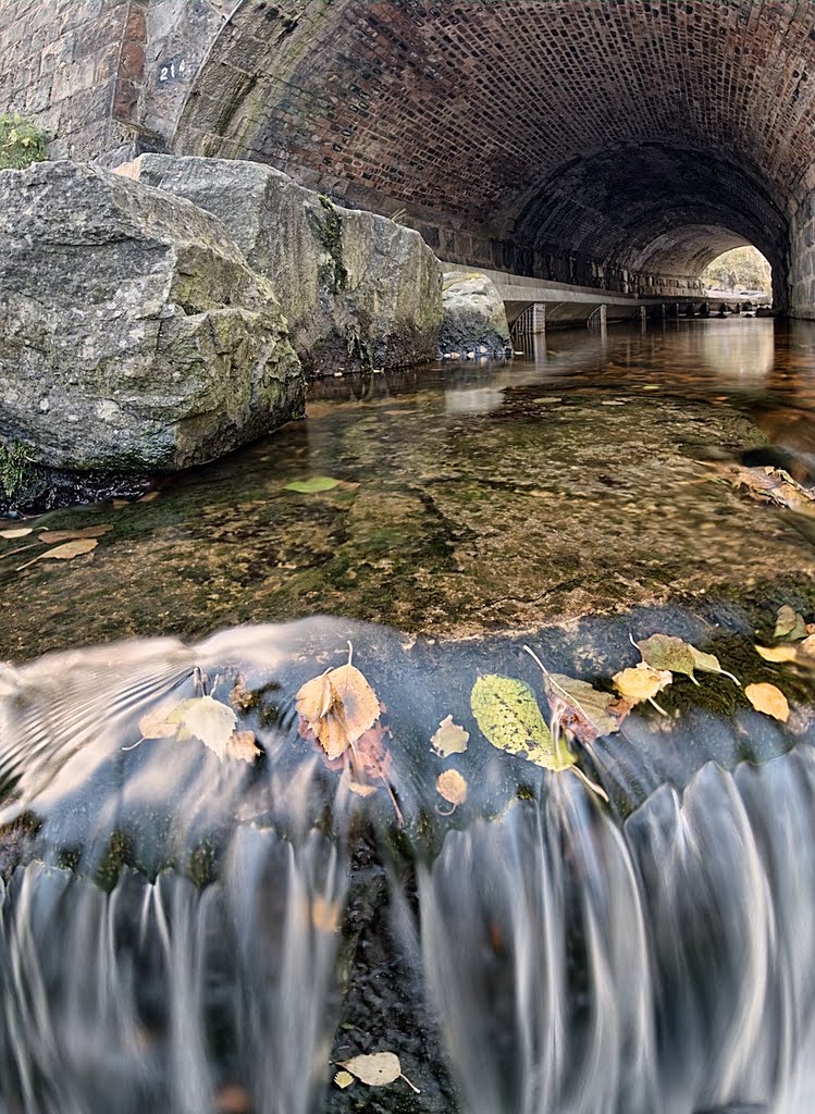 Tunnel by Mel Stephens