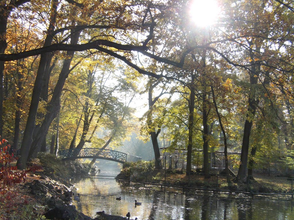 Bayreuther Röhrensee im Herbst by ConnyWonny