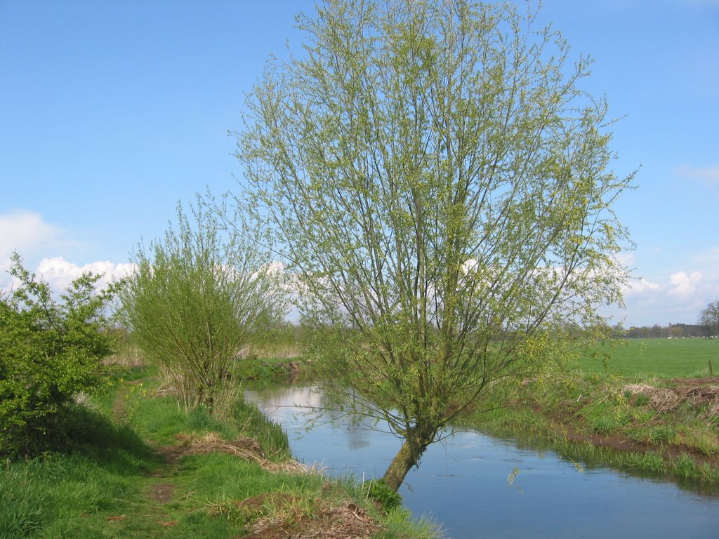 Dommel in natuurgebied Dommeldal by pvdh63