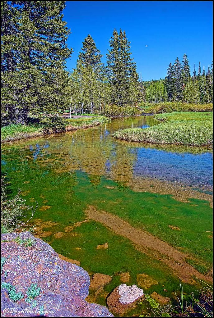 Duck Creek by Brenton Cooper