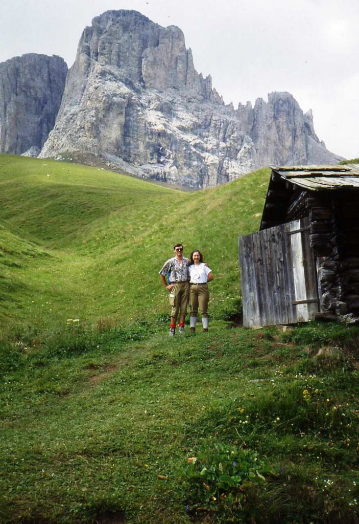 Ricordo dal SASSOLUNGO - Val di Fassa by ▬  Mauro Antonini ▬