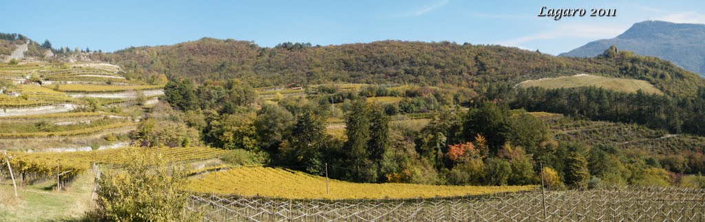 Campagne tra Savignano e Pomarolo by Lagaro