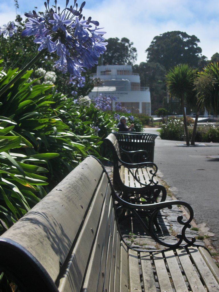 Flowers and benches by Ugo Messali