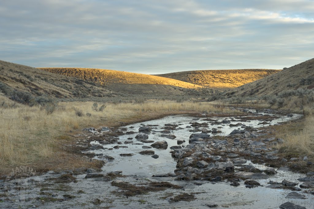 Um, where's the trail? by Jason Abbott