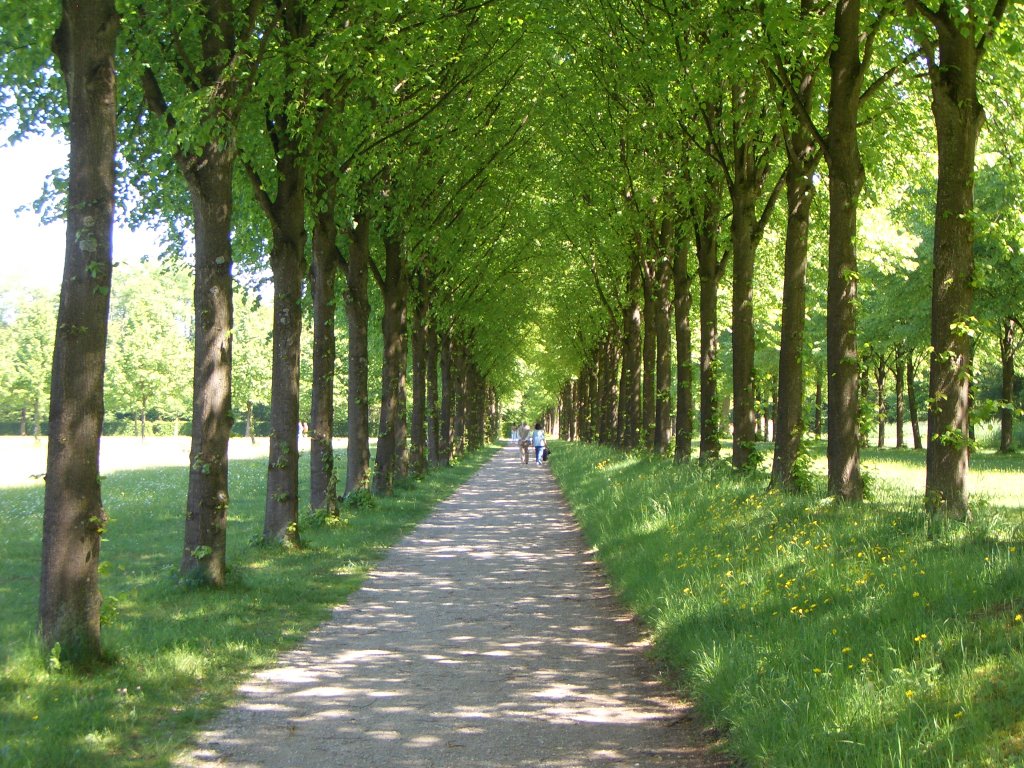 Schloßpark Schleißheim by ULI KOCHENDÖRFER