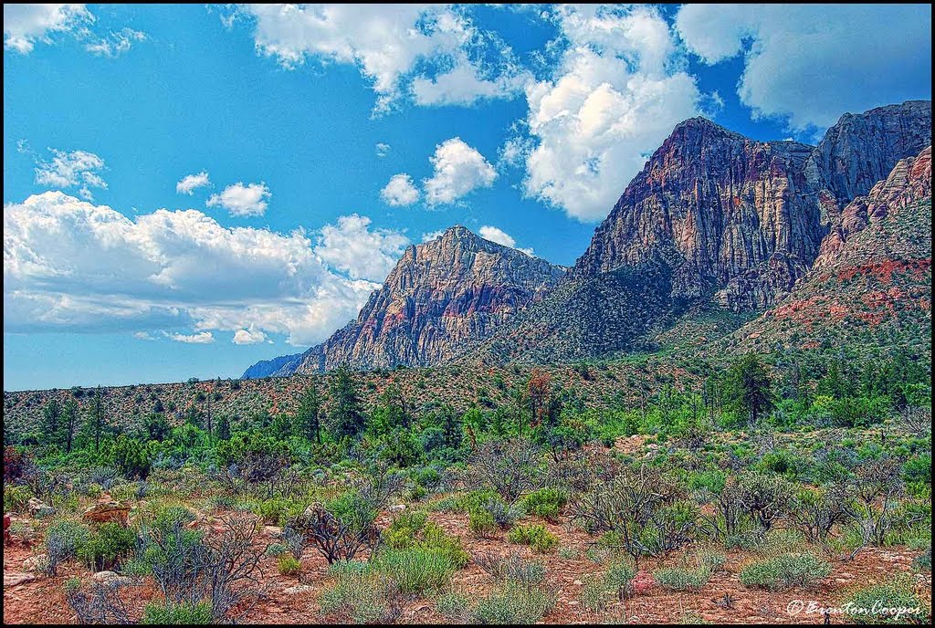 Pine Creek Wash by Brenton Cooper