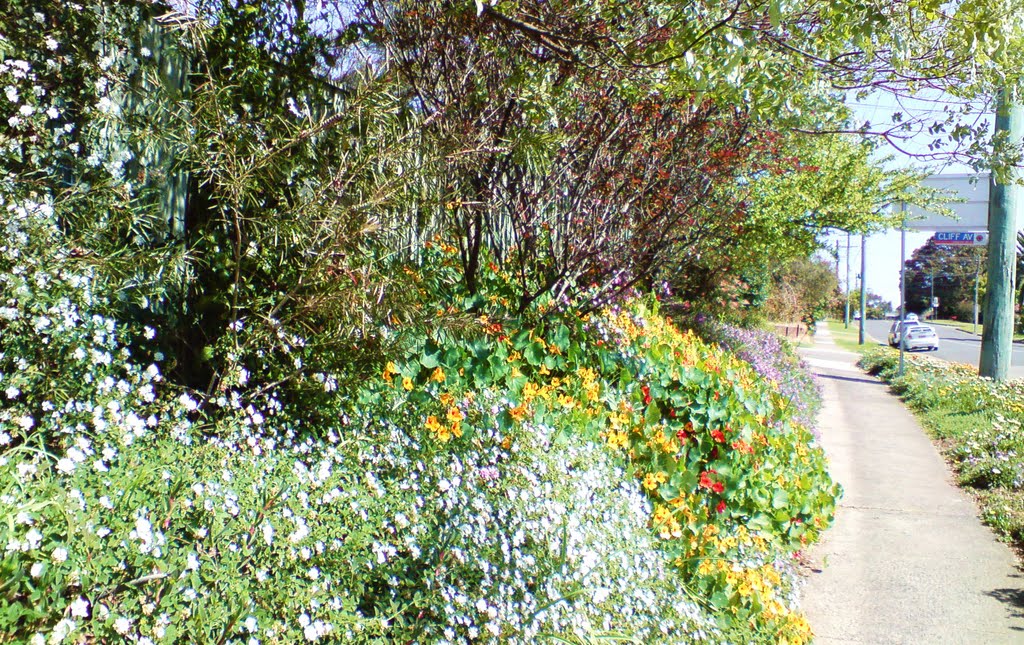 Winston Hills , footpath scene ... by Michael Caine