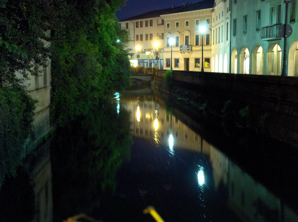 Ponte della Pescheria by Andrea Princivalli