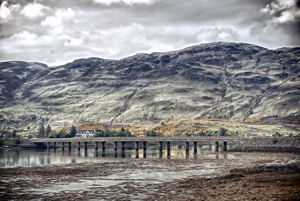 Highlander.Donan Castle.Scotland by Adixas