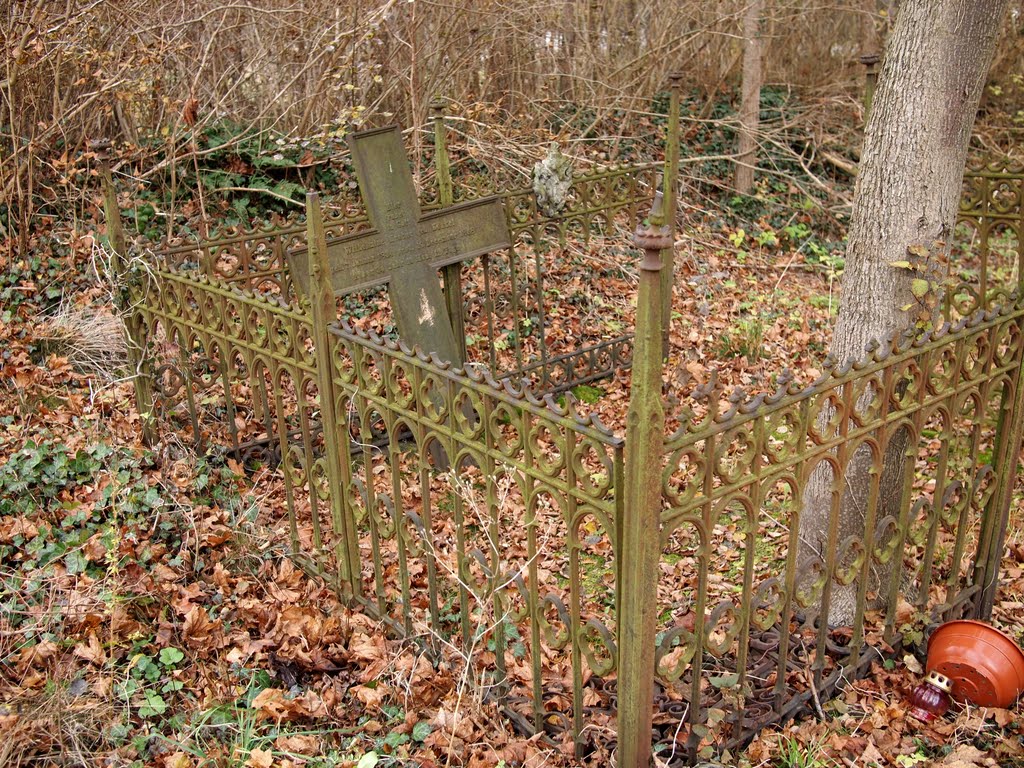 Old cemetery | stary cmentarz by t.przechlewski