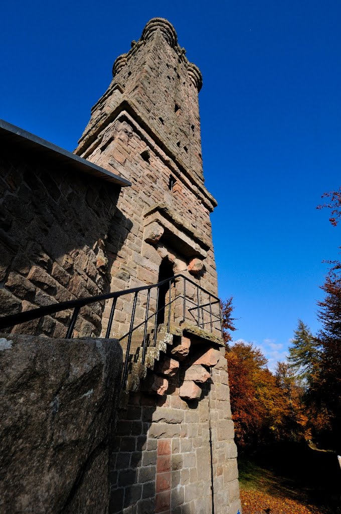 Luitpoldturm am Hermersberger Hof, D by roland.fr