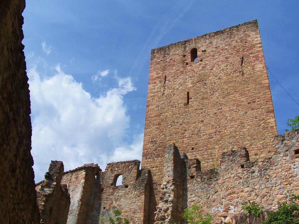 Burg Terlan by mondlaub