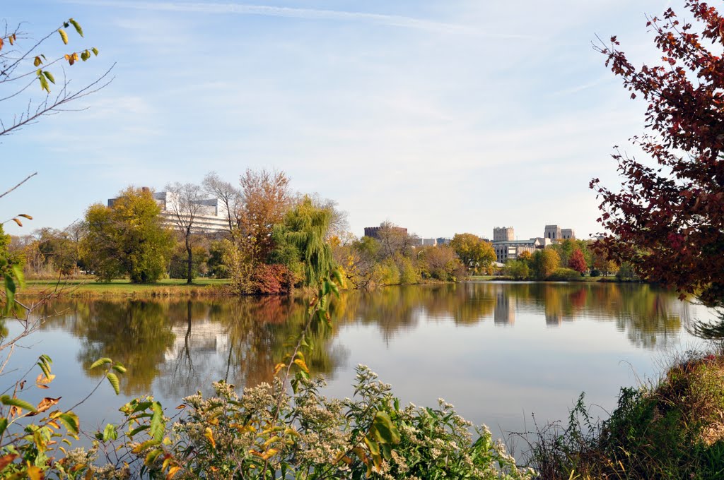 Hyde Park - Washington Park - University of Chicago & CCD hospital by Antoine Jasser