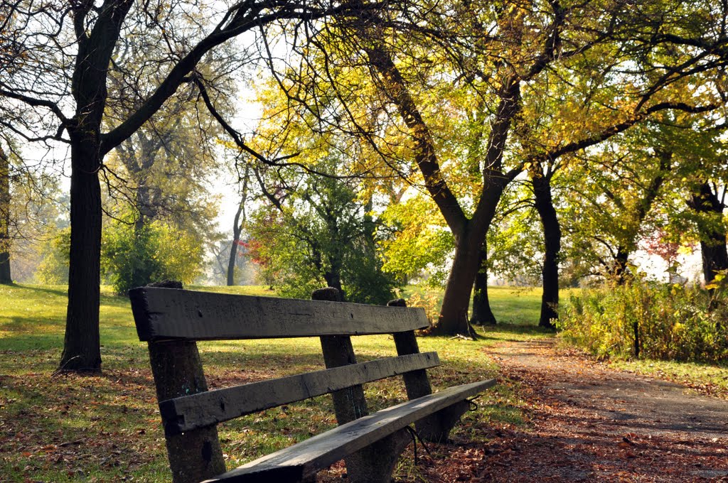 Hyde Park - Washington Park - Have a seat by Antoine Jasser