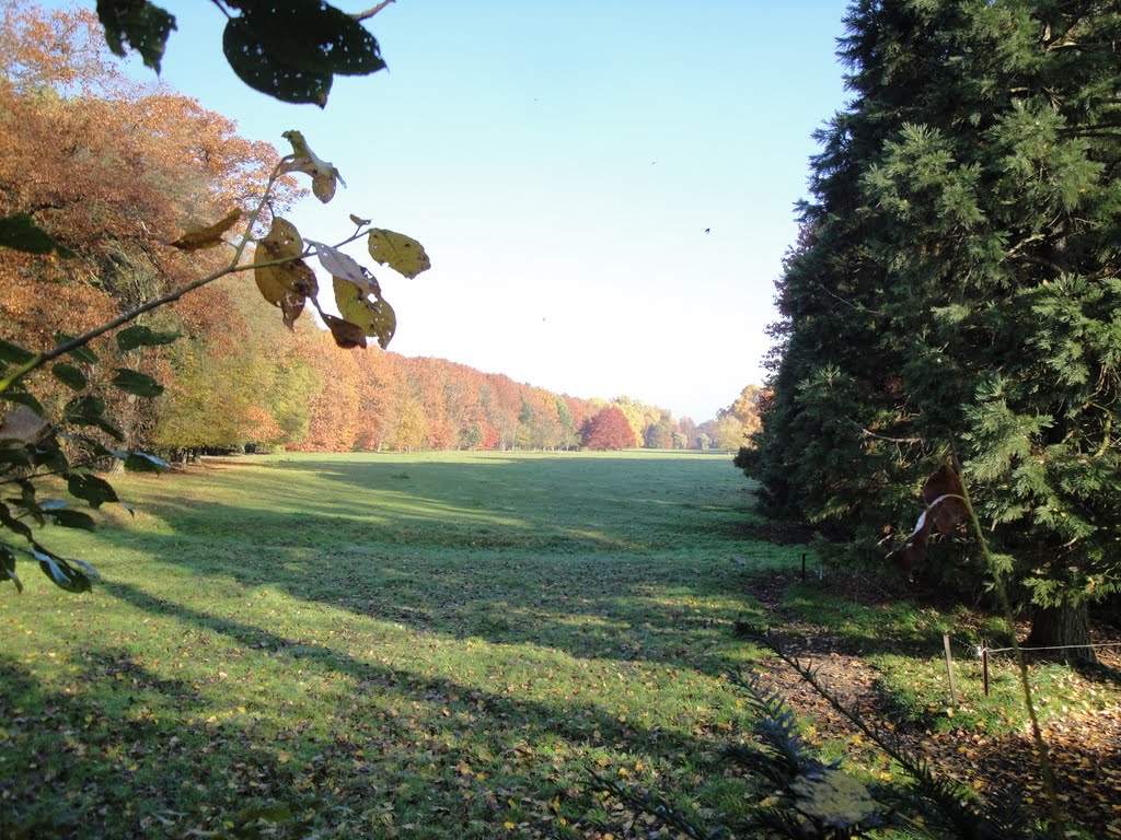 Vaartdijk Wespelaar, zicht Domein de Spoelberch by ensormania