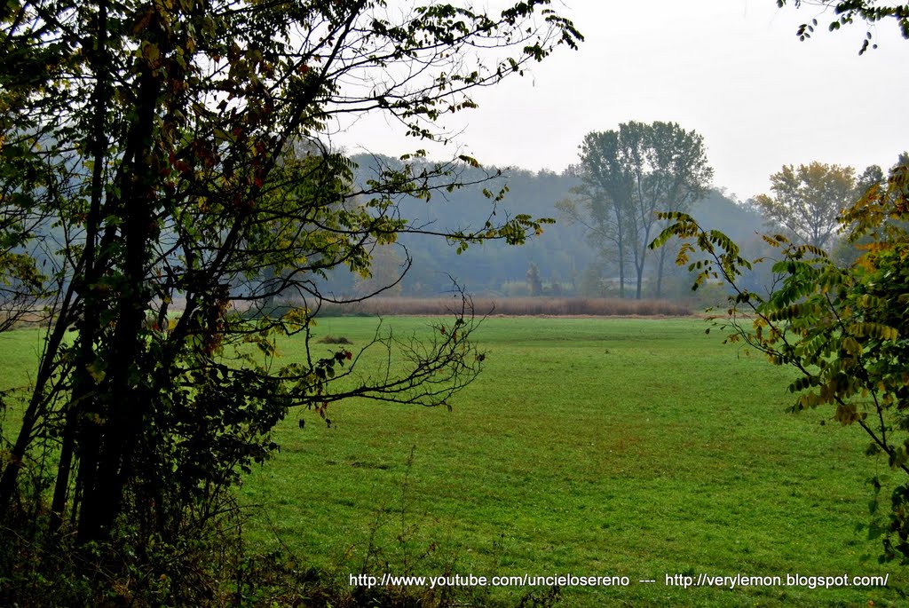 PARCO DEL MEDIO OLONA by Cesare Riccardo