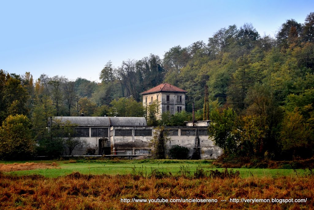 PARCO DEL MEDIO OLONA by Cesare Riccardo