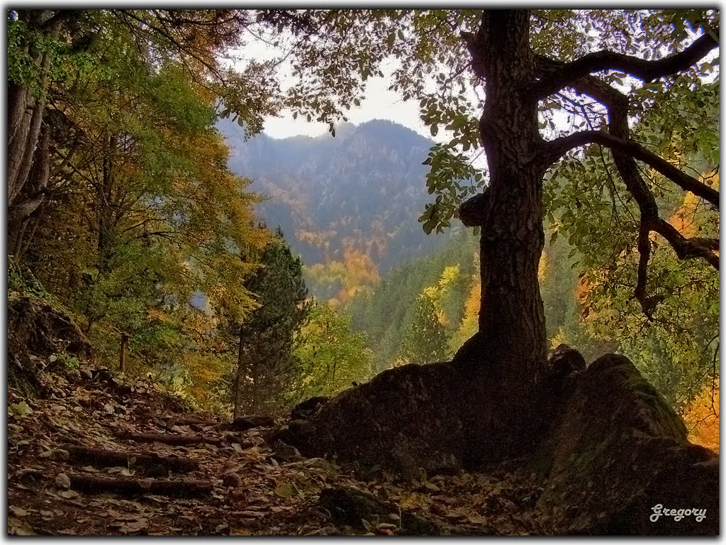 ΟΛΥΜΠΟΣ, ΣΤΟ ΕΥΡΩΠΑΪΚΟ ΜΟΝΟΠΑΤΙ Ε4 - OLYMPOS, EUROPEAN MOUNTAIN TRAIL E4 by GRIGORIS