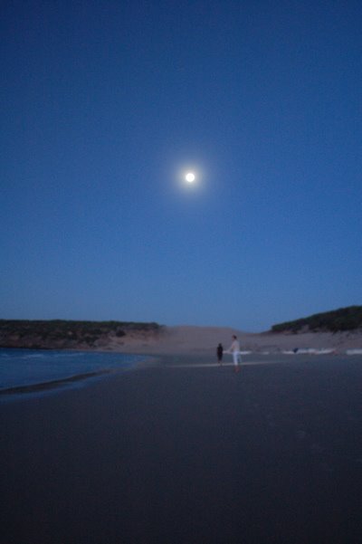 Bolonia Dune by jim floyer