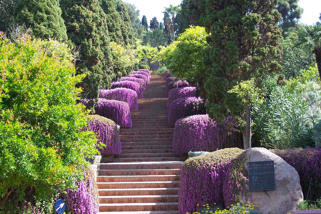 Botanic Garden Blanes by Jan Lefers