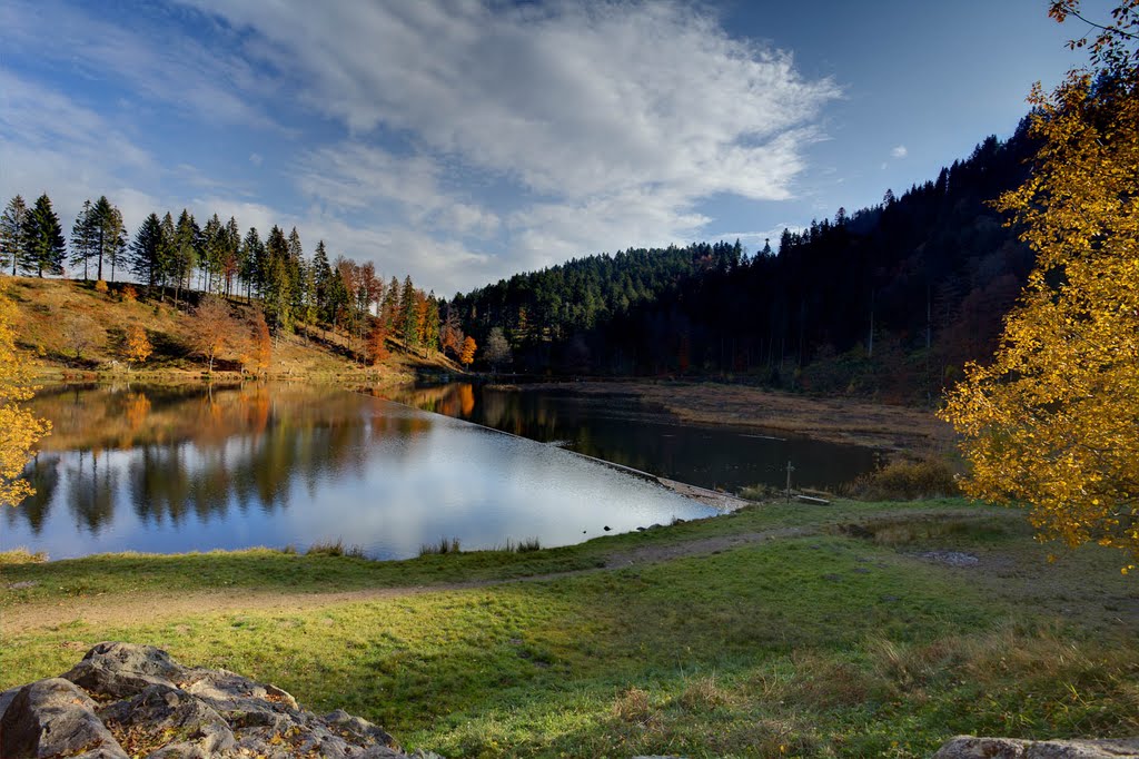 Nonnenmattweiher im Herbstkleid by u.schmidlin