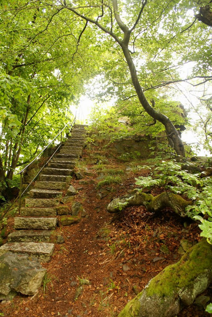 Aufstieg zum Scharfenstein bei Nöschenrode (Harz) by Atheistin