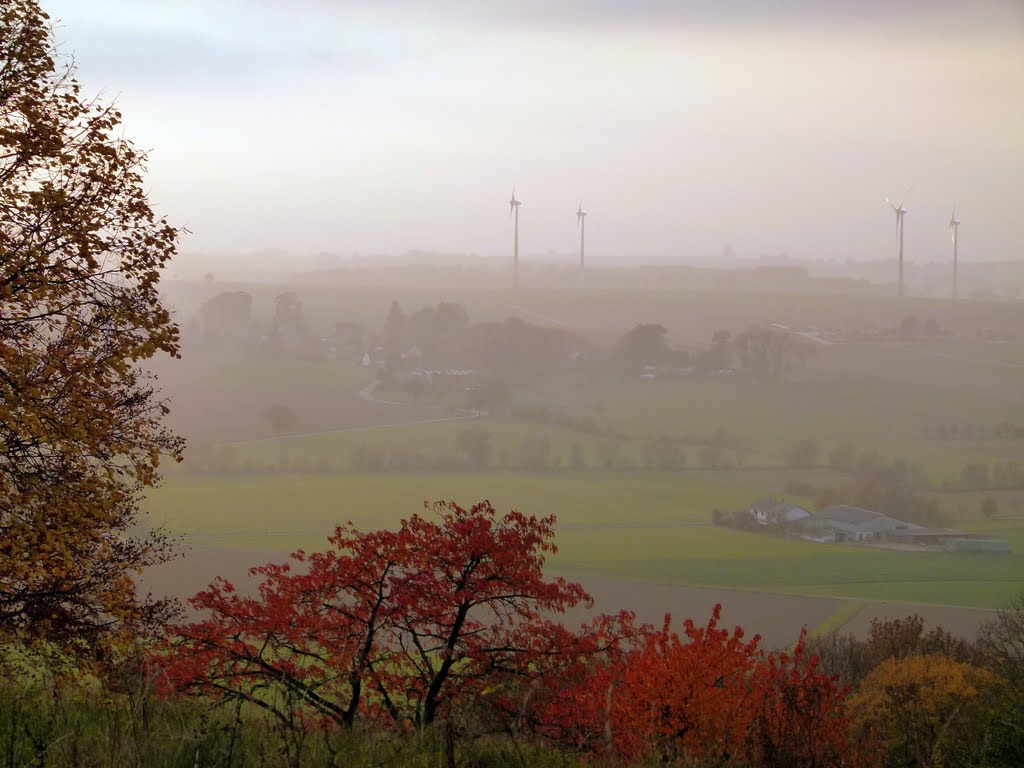 Windräder im Herbstnebel by Farlang