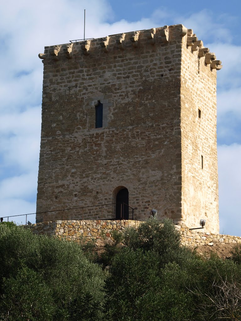 Torre de Font de Quinto Campredó Tortosa by Joan Otero