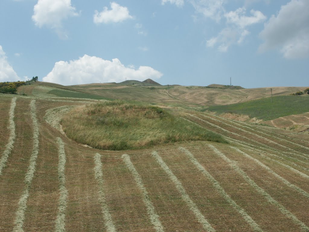 TERRA DI SICILIA by www.immobiliaretringali.it