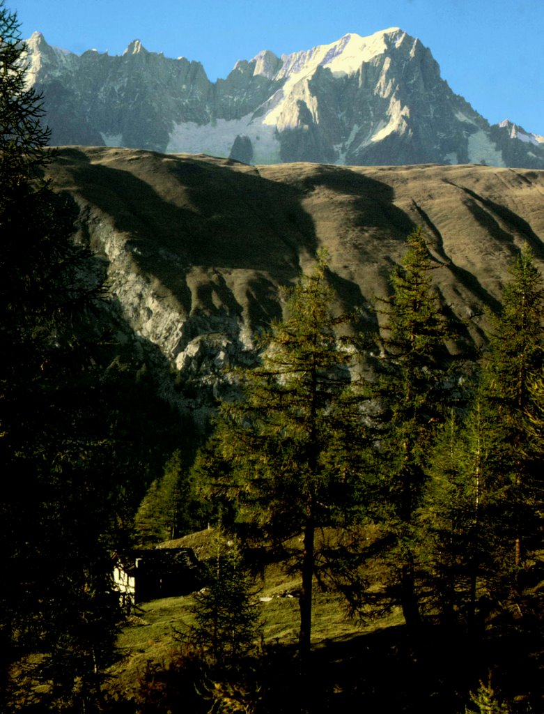 Grandes Jorasses from La Suche - Courmayeur (Aosta Valley - Italy) by Antonio Passaseo