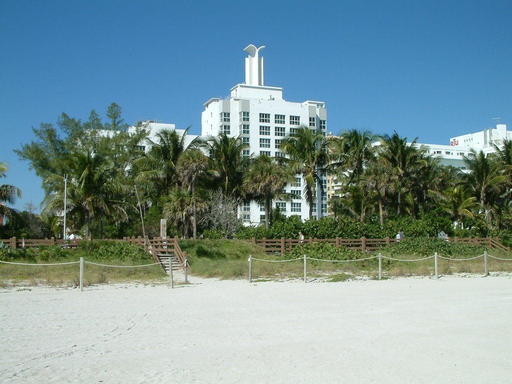 The Palms South Beach by Lars H.