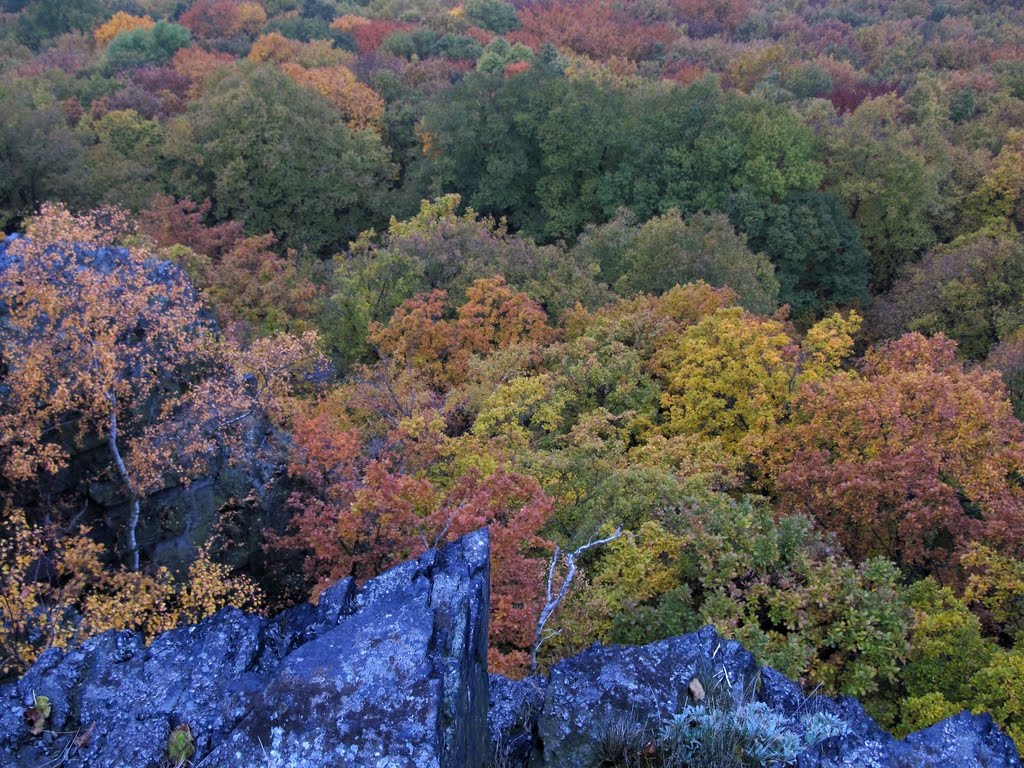 Autumn on Kalich by Petacomspeta