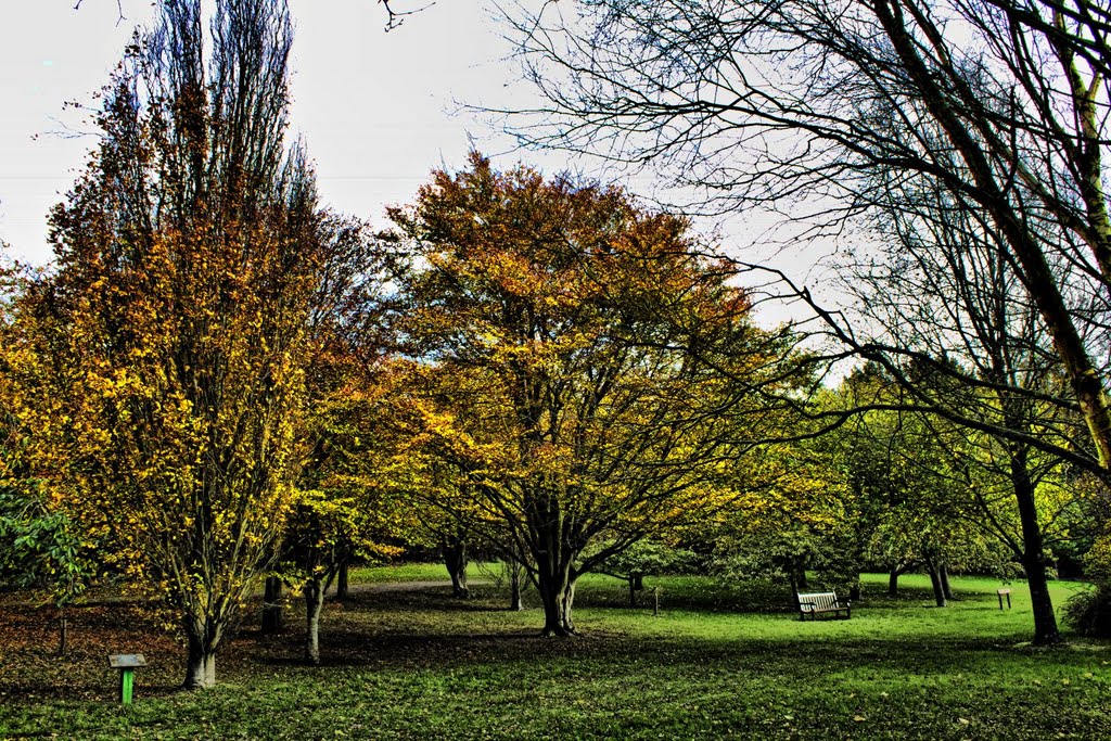 St Johns Arboretum, Isle of Man, British Isles by heathcliffe