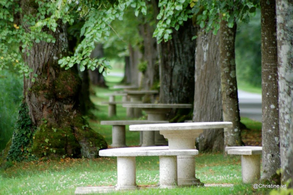 Abbaye by christine divry  chris'ange photographie