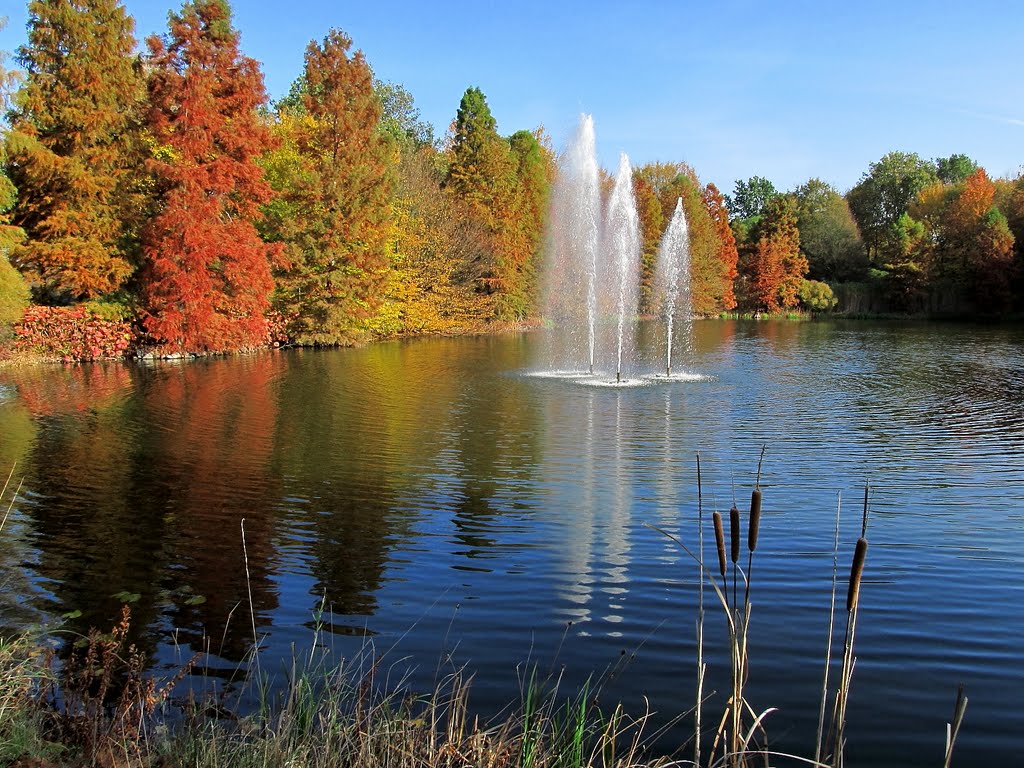 Herbstlicher Teich by Alexkarl