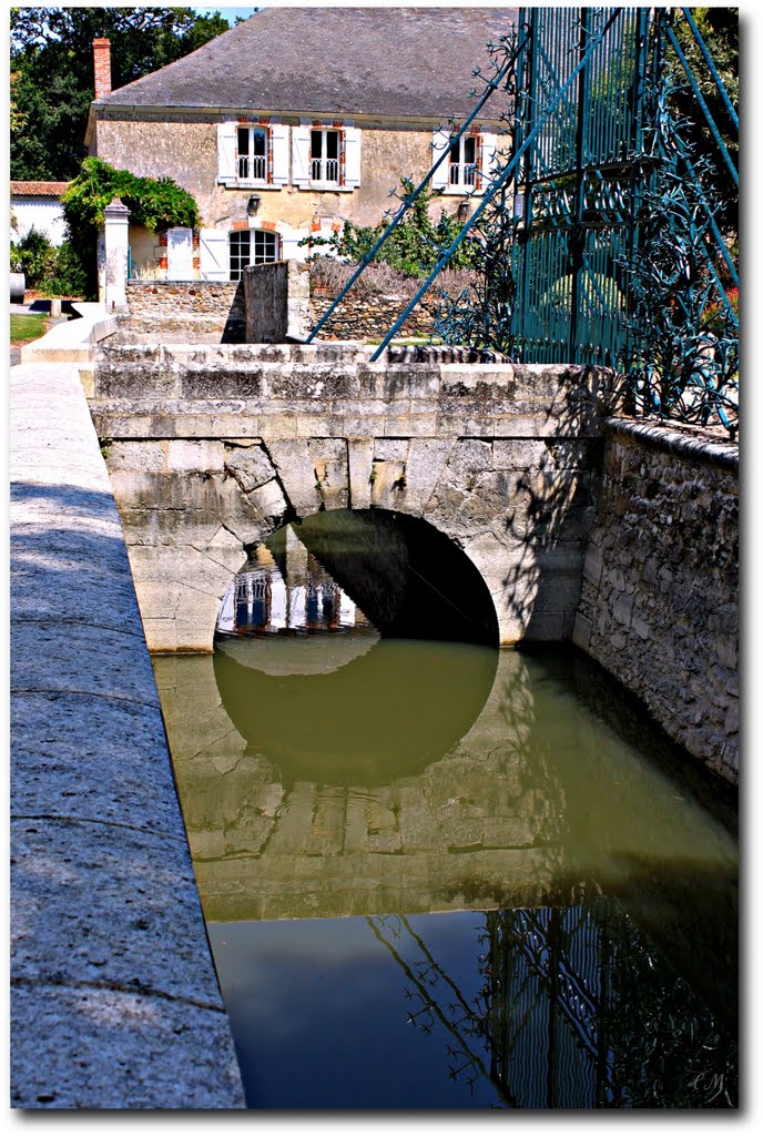 Castle Moat by © cvandermeijden