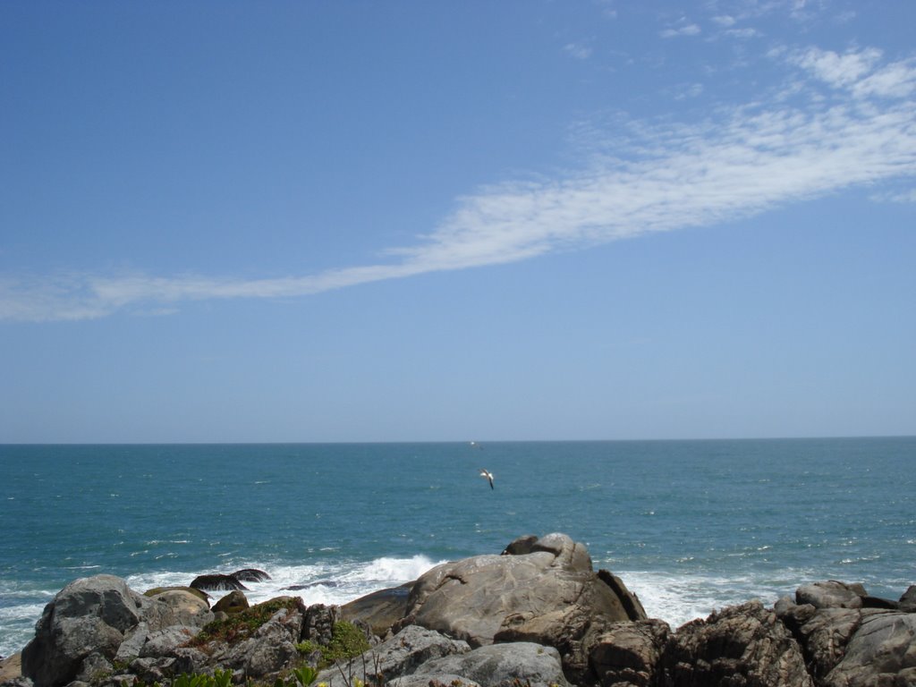 Horizonte da Ponta do Retiro - Praia da Sepultura - Bombinhas - SC by miltonfreitas