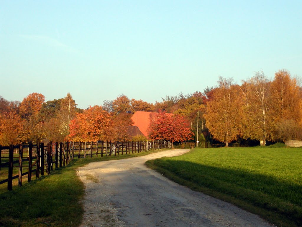 PFERDEHOF RIEPER TURM ALLERHEILIGEN 2011 by H.Blum